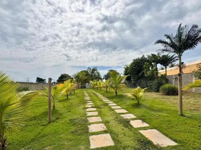 Sítio / Chácara para Venda em Monte Azul Paulista/SP Centro 3 Quartos