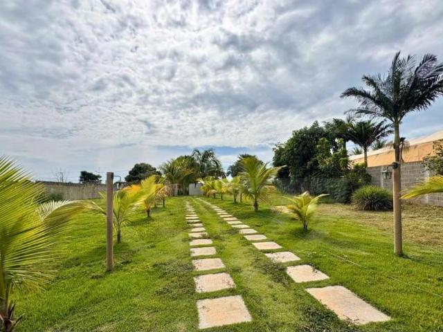 Sítio / Chácara para Venda em Monte Azul Paulista/SP Centro 3 Quartos