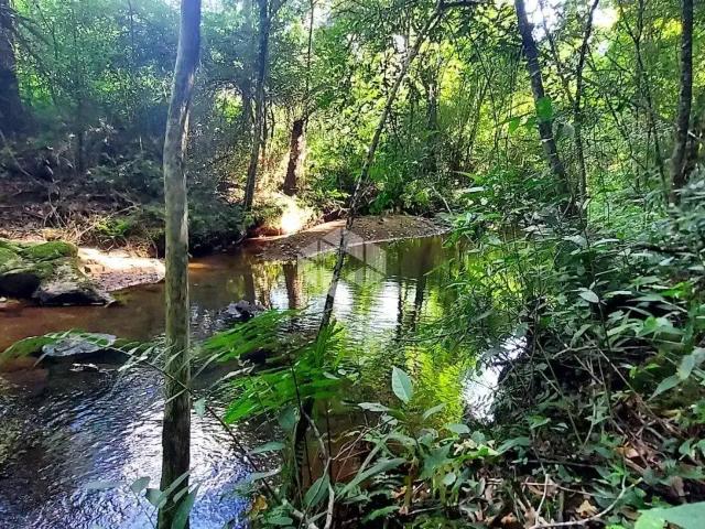 Sítio / Chácara para Venda em Monte Belo do Sul/RS Zona Rural