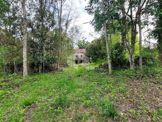 Sítio / Chácara para Venda em Monte Belo do Sul/RS Zona Rural