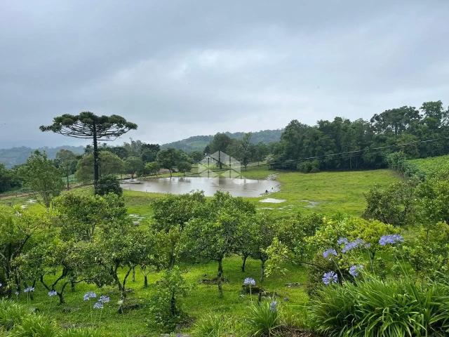 Sítio / Chácara para Venda em Monte Belo do Sul/RS Zona Rural
