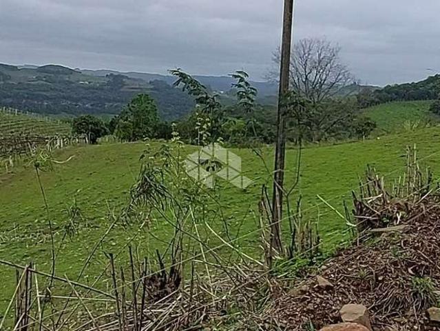 Sítio / Chácara para Venda em Monte Belo do Sul/RS Centro 1 Quartos