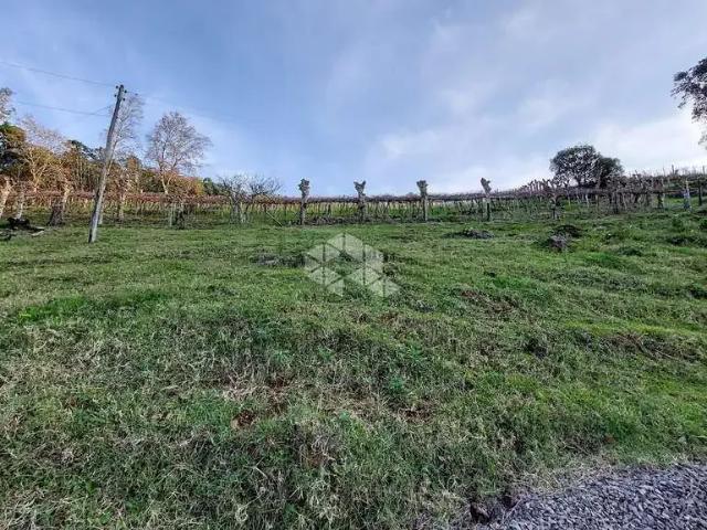 Sítio / Chácara para Venda em Monte Belo do Sul/RS Centro 4 Quartos