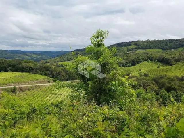 Sítio / Chácara para Venda em Monte Belo do Sul/RS Centro