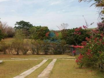 Sítio / Chácara para Venda em Monte Mor/SP Jardim Chapadão 8 Quartos