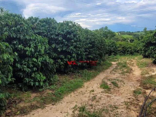Sítio / Chácara para Venda em Monte Mor/SP Parque Residencial Terras de Yucatan 2 Quartos