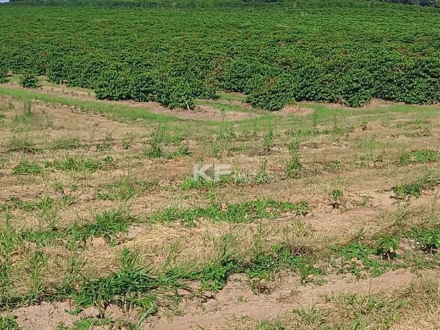 Sítio / Chácara para Venda em Monte Santo de Minas/MG Centro 1 Quartos