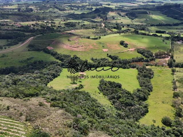 Sítio / Chácara para Venda em Monte Santo de Minas/MG Centro 1 Quartos