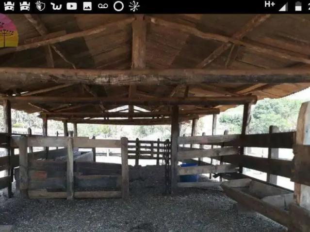 Sítio / Chácara para Venda em Monte Sião/MG Centro 2 Quartos