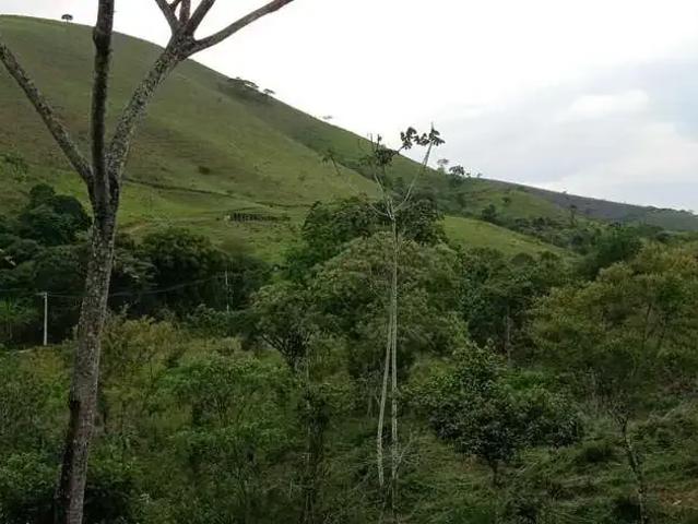 Sítio / Chácara para Venda em Monteiro Lobato/SP Centro