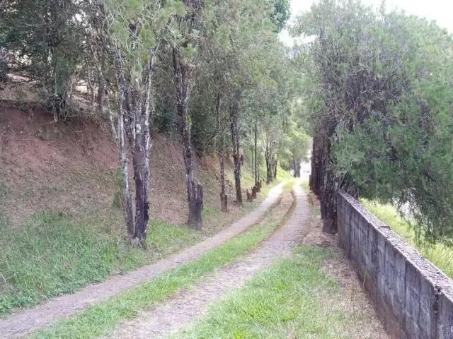Sítio / Chácara para Venda em Monteiro Lobato/SP Centro