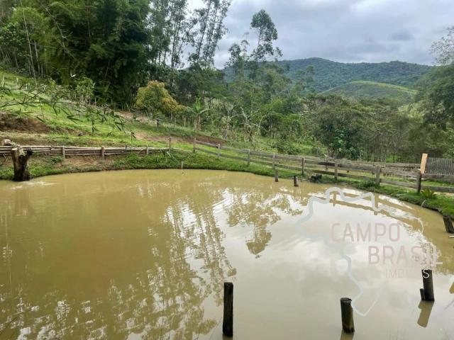 Sítio / Chácara para Venda em Monteiro Lobato/SP Centro 2 Quartos
