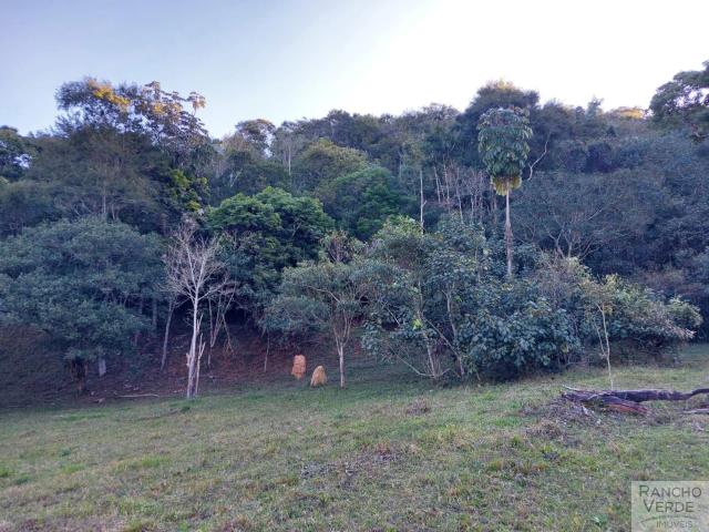 Sítio / Chácara para Venda em Monteiro Lobato/SP Centro