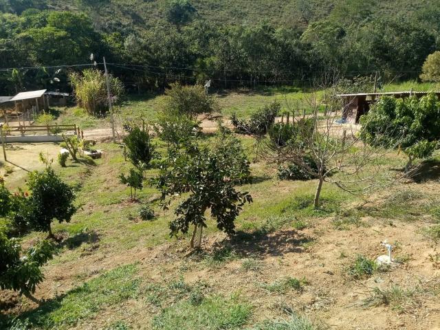 Sítio / Chácara para Venda em Monteiro Lobato/SP Centro 3 Quartos