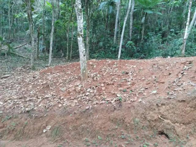 Sítio / Chácara para Venda em Monteiro Lobato/SP Centro