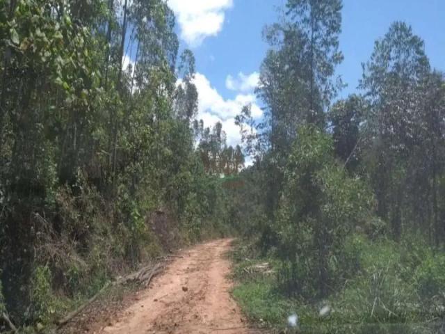 Sítio / Chácara para Venda em Monteiro Lobato/SP Centro