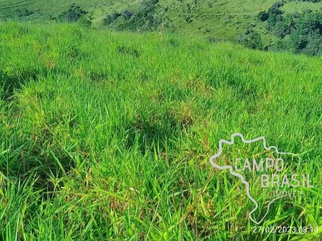 Sítio / Chácara para Venda em Monteiro Lobato/SP Centro