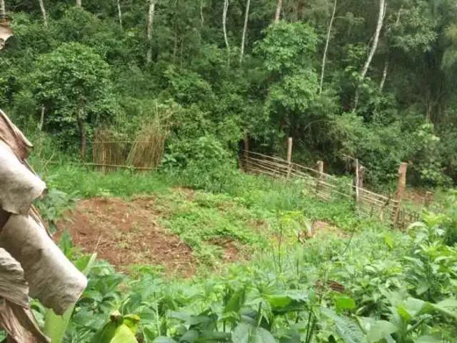 Sítio / Chácara para Venda em Monteiro Lobato/SP São Benedito 1 Quartos