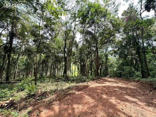 Sítio / Chácara para Venda em Monteiro Lobato/SP São Benedito