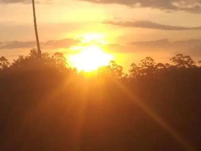 Sítio / Chácara para Venda em Monteiro Lobato/SP Ponte Nova