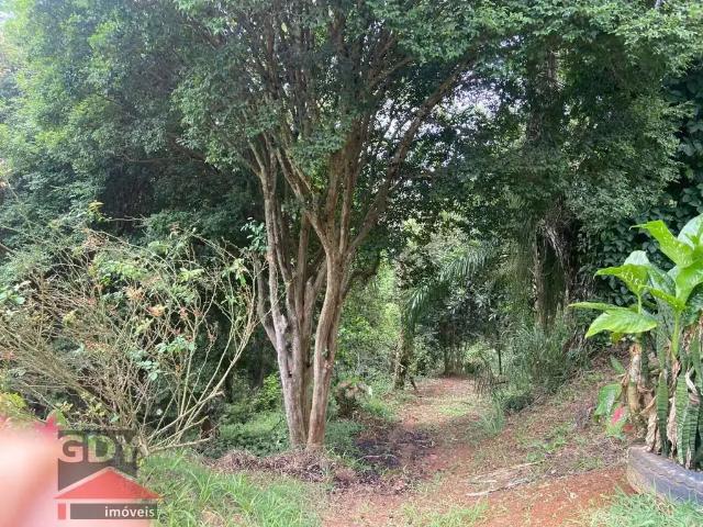 Sítio / Chácara para Venda em Monteiro Lobato/SP Ponte Nova