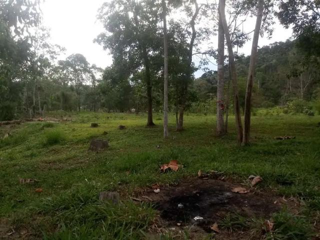 Sítio / Chácara para Venda em Monteiro Lobato/SP Centro 2 Quartos