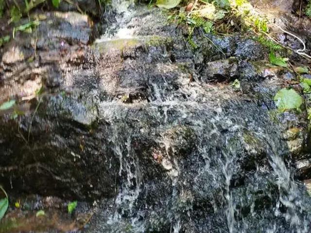 Sítio / Chácara para Venda em Monteiro Lobato/SP Vargem Alegre