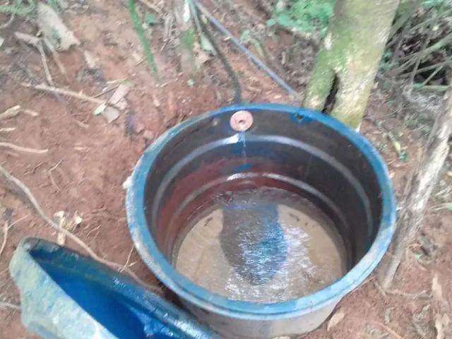 Sítio / Chácara para Venda em Monteiro Lobato/SP Vargem Alegre