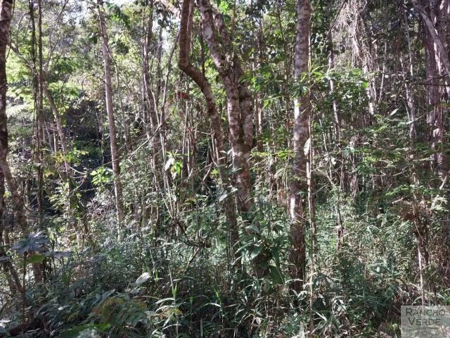 Sítio / Chácara para Venda em Monteiro Lobato/SP Centro