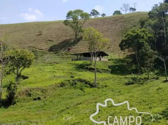 Sítio / Chácara para Venda em Monteiro Lobato/SP Zona Rural 4 Quartos