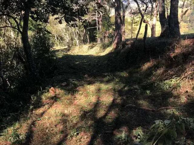 Sítio / Chácara para Venda em Monteiro Lobato/SP Centro