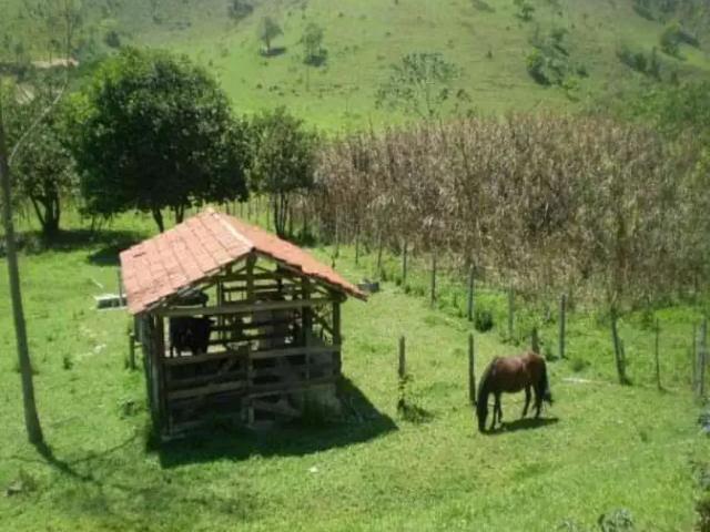 Sítio / Chácara para Venda em Monteiro Lobato/SP Centro 2 Quartos