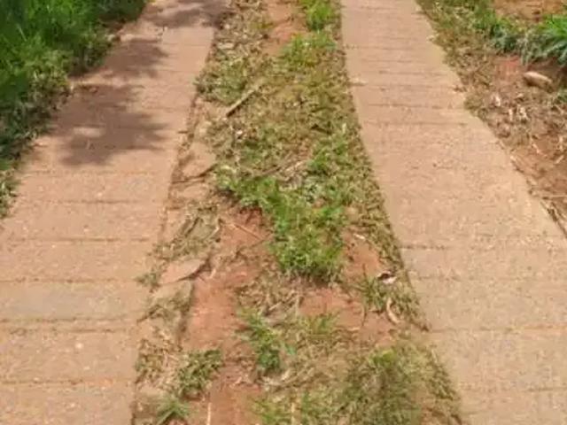 Sítio / Chácara para Venda em Monteiro Lobato/SP Centro 2 Quartos