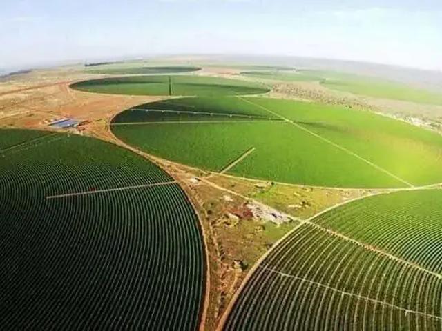 Sítio / Chácara para Venda em Montes Claros/MG Zona Rural