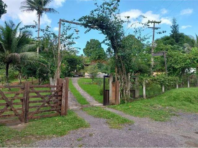Sítio / Chácara para Venda em Moreno/PE Centro 4 Quartos