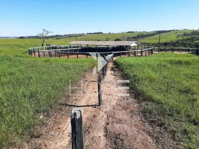 Sítio / Chácara para Venda em Moreira Sales/PR Zona Rural 1 Quartos