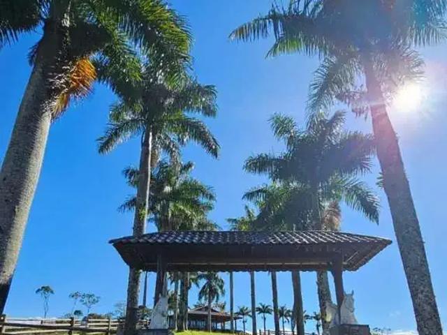 Sítio / Chácara para Venda em Morretes/PR Vila Itaperuçu 6 Quartos