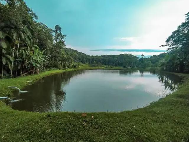 Sítio / Chácara para Venda em Morretes/PR Zona Rural 2 Quartos