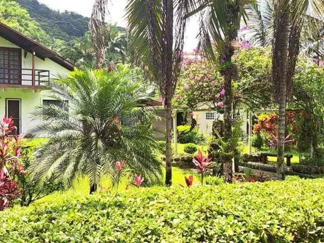 Sítio / Chácara para Venda em Morretes/PR Zona Rural 4 Quartos