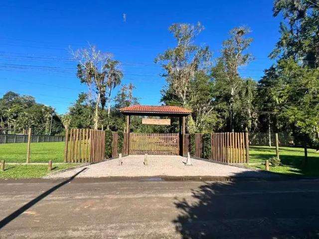Sítio / Chácara para Venda em Morretes/PR Zona Rural