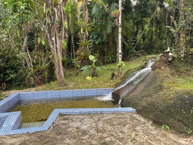 Sítio / Chácara para Venda em Morretes/PR América de Cima 4 Quartos
