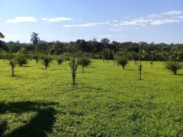 Sítio / Chácara para Venda em Morretes/PR Anhaia 1 Quartos