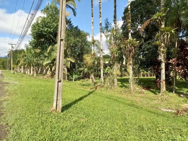 Sítio / Chácara para Venda em Morretes/PR Centro