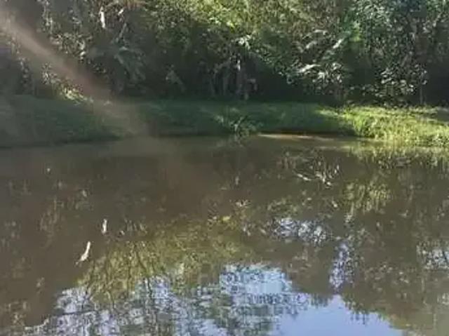 Sítio / Chácara para Venda em Morretes/PR Colônia Sesmaria 3 Quartos