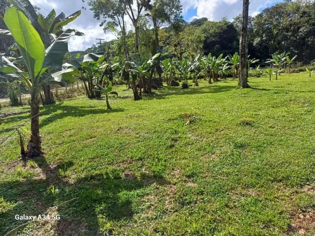 Sítio / Chácara para Venda em Morretes/PR Porto de Cima 2 Quartos