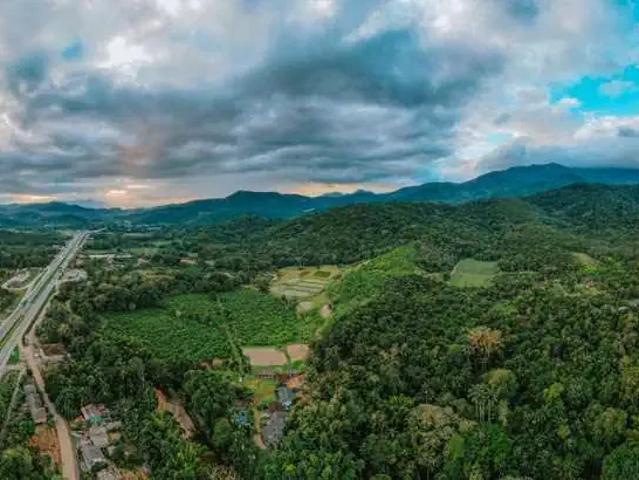 Sítio / Chácara para Venda em Morretes/PR Rio Sagrado