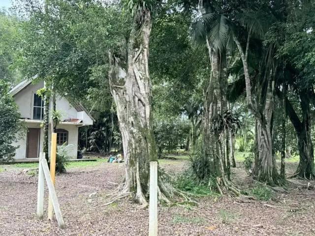 Sítio / Chácara para Venda em Morretes/PR Rio Sagrado 2 Quartos