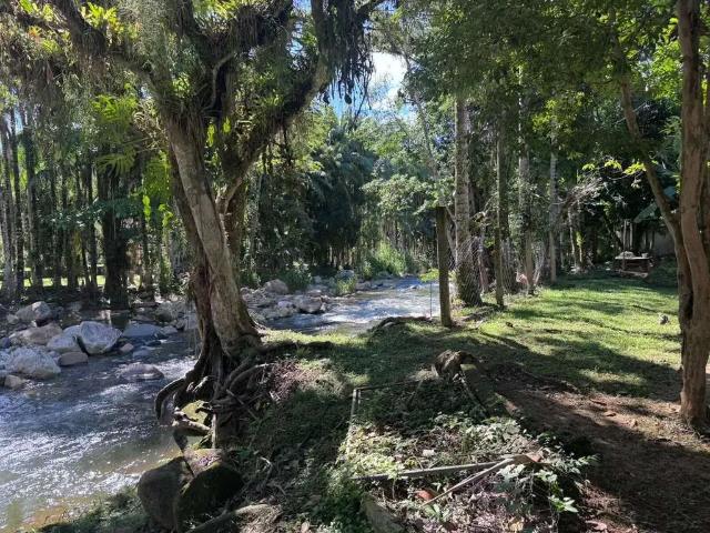 Sítio / Chácara para Venda em Morretes/PR Rio Sagrado 3 Quartos