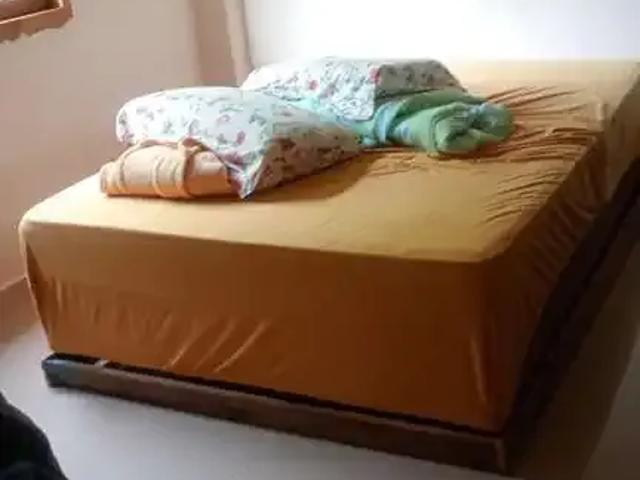 Sítio / Chácara para Venda em Morretes/PR São João da Graciosa 4 Quartos