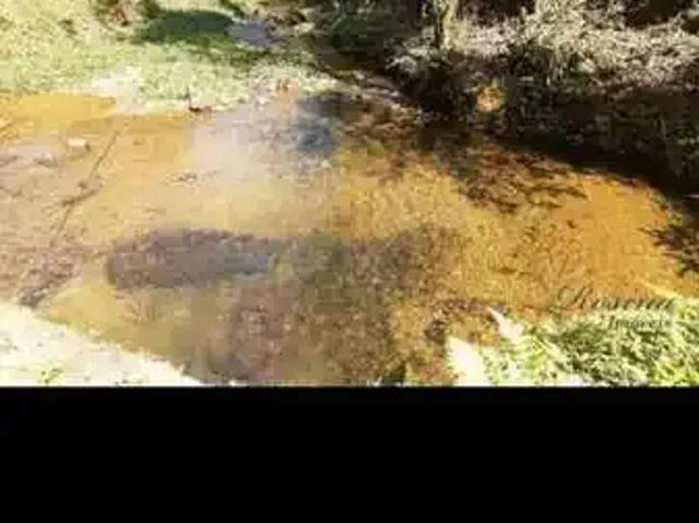 Sítio / Chácara para Venda em Morretes/PR São João da Graciosa